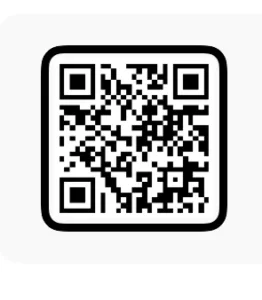 Bairan Vn Template 2026